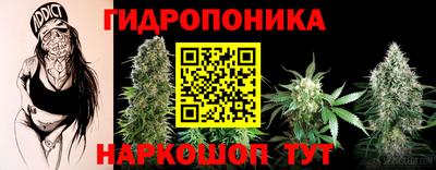 эйфоретик Анапа