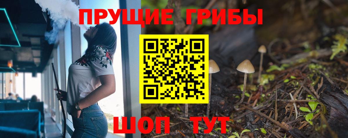 Псилоцибиновые грибы прущие грибы Алейск